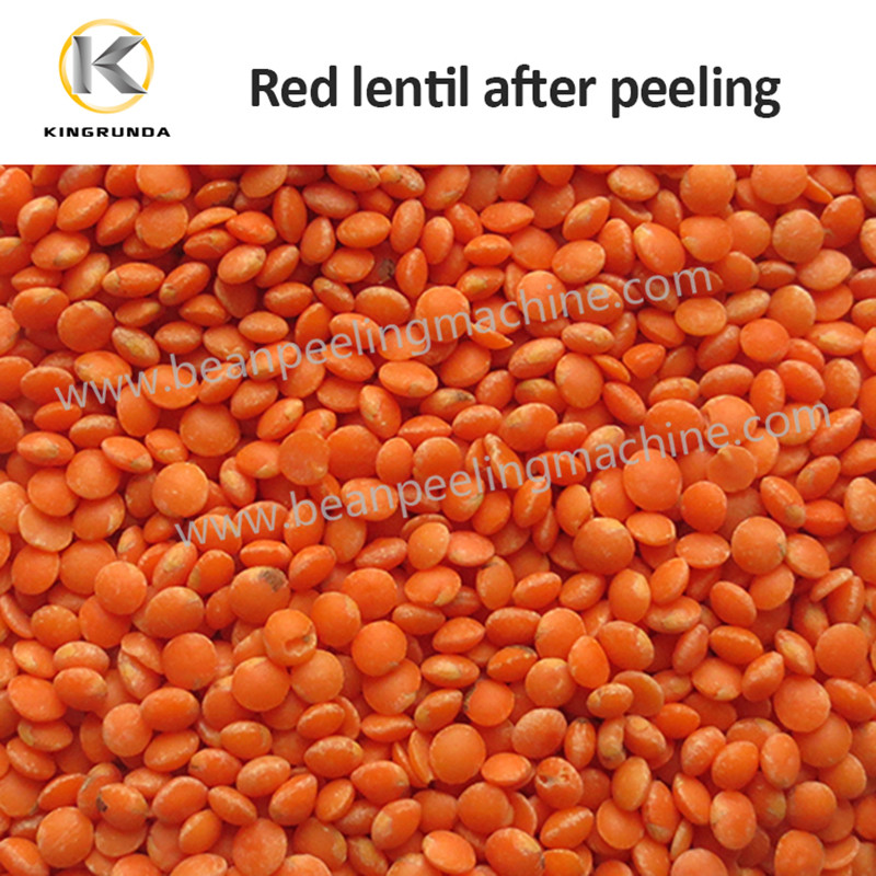 lentil peeling machine factory.jpg